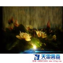 �F����(y��ng)��