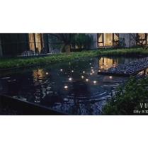 ��������Ȫ